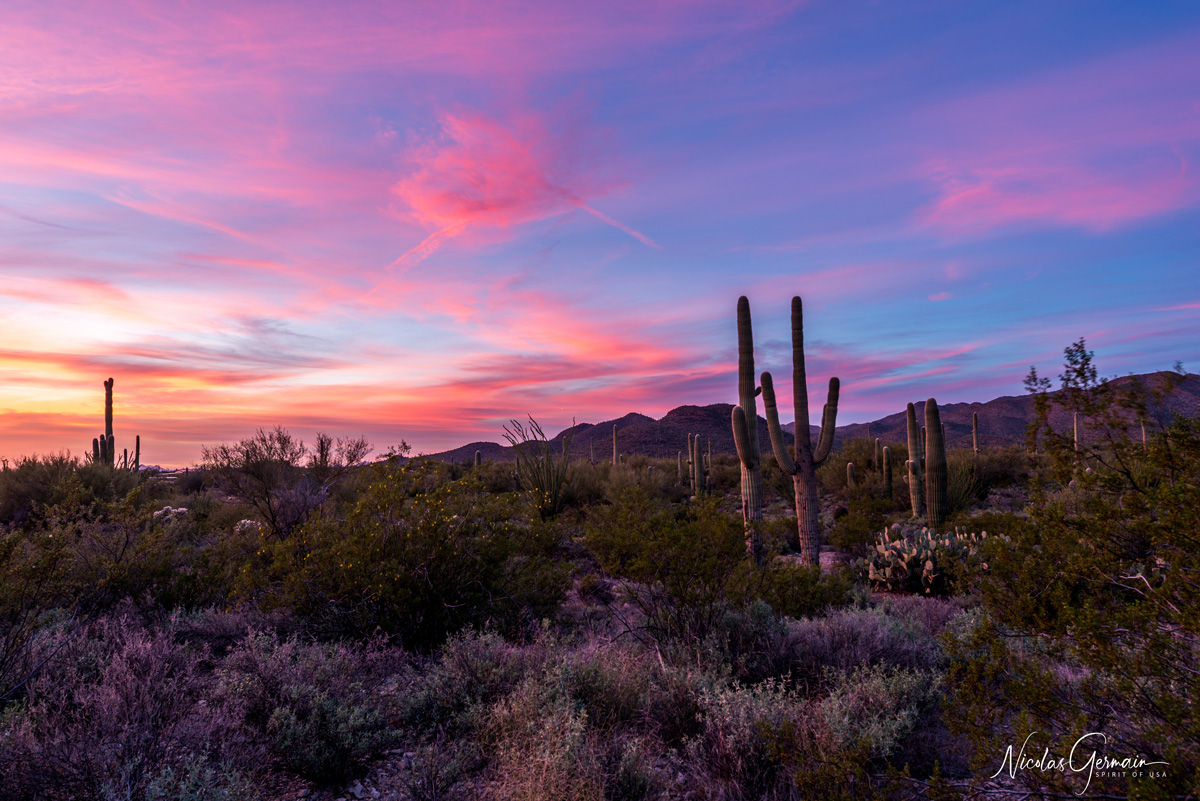 Fin de coucher de soleil à Gilbert Ray Campground dans Tucson Mountain State Park
