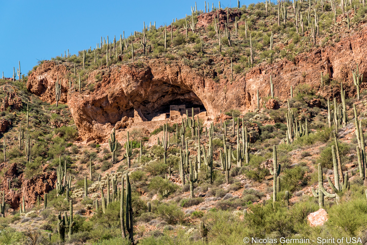 Lower Cliff Dwelling, habitation troglodytique de Tonto entourée de saguaros