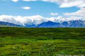 Mont Denali et chaîne de l'Alaska, Denali National Park