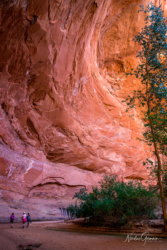 Immense voûte rocheuse à Jacob Hamblin Arch dans Coyote Gulch