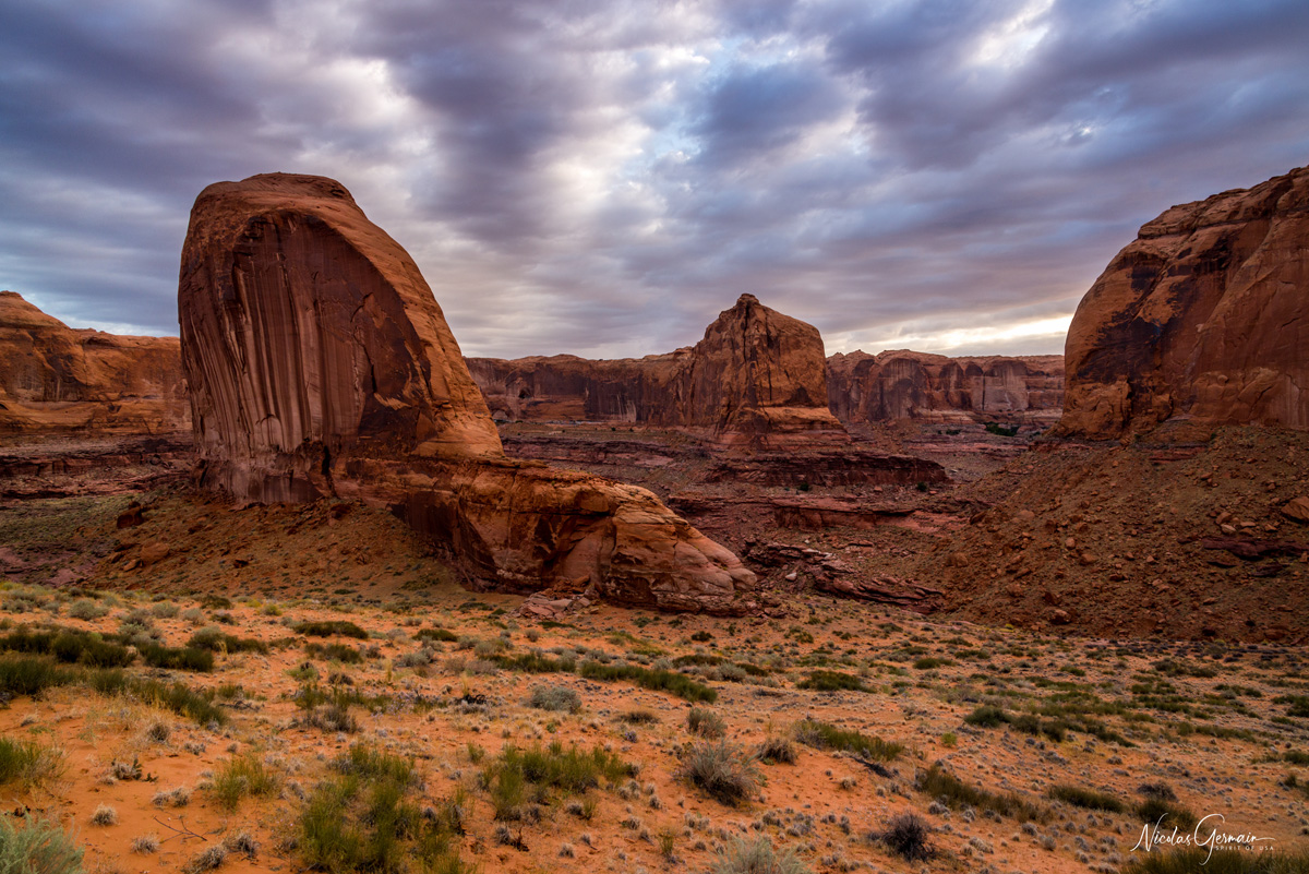 Rocher en forme de tortue ou d'escargot en bas de la dune de Crack-in-the-Wall, Coyote Gulch