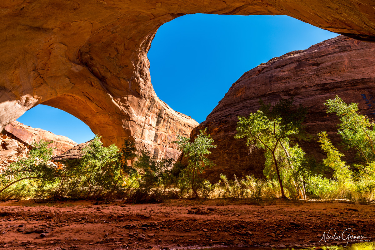 Jacob Hamblin Arch et voûte rocheuse donnant l'impression d'une double arche, Coyote Gulch