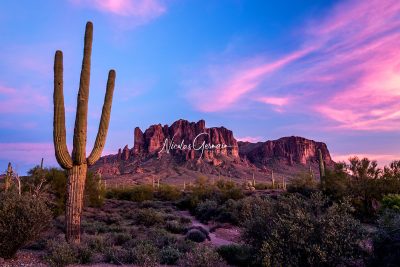 Lost Dutchman et saguaros - Nicolas Germain, Spirit of USA