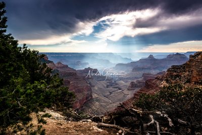 Grand Canyon, Cape Royal - Nicolas Germain, Spirit of USA