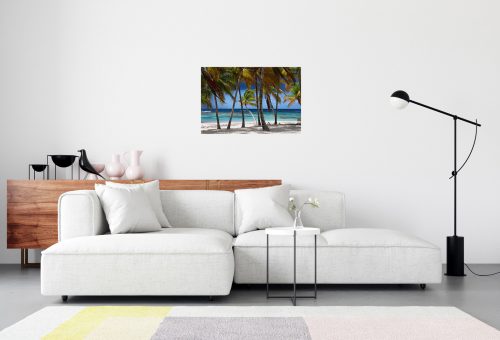 PETITE ANSE À MARIE-GALANTE, GUADELOUPE – Image 4