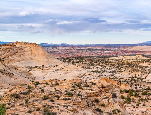 Trump réduit drastiquement la superficie de Grand Staircase-Escalante et Bears Ears