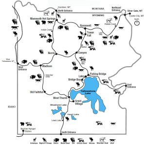 Carte de la répartiton des animaux - Yellowstone National Park